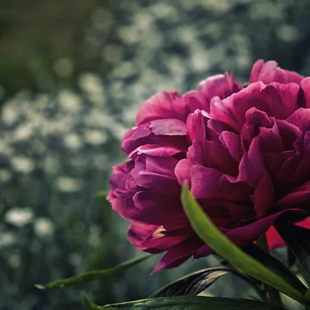 Casa vacanze La Vere *