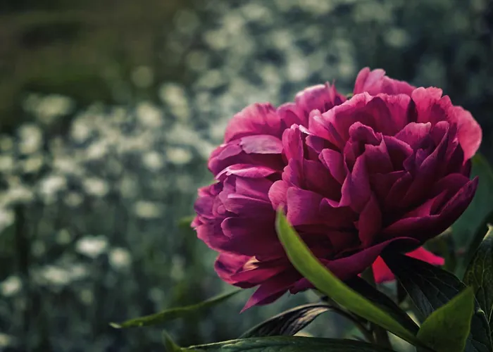 Casa vacanze La Vere *